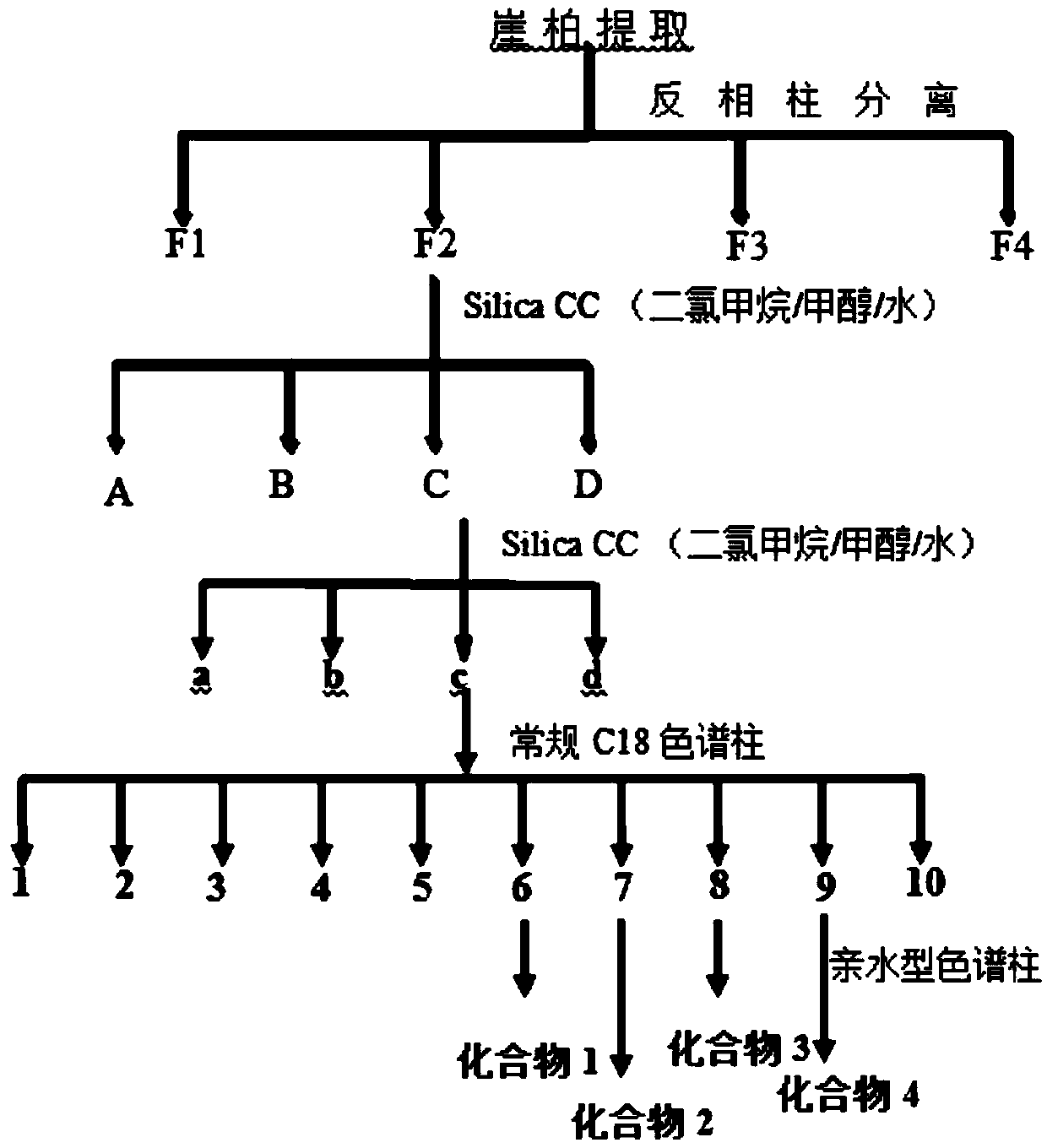 Novel biflavone compound as well as preparation method and application thereof