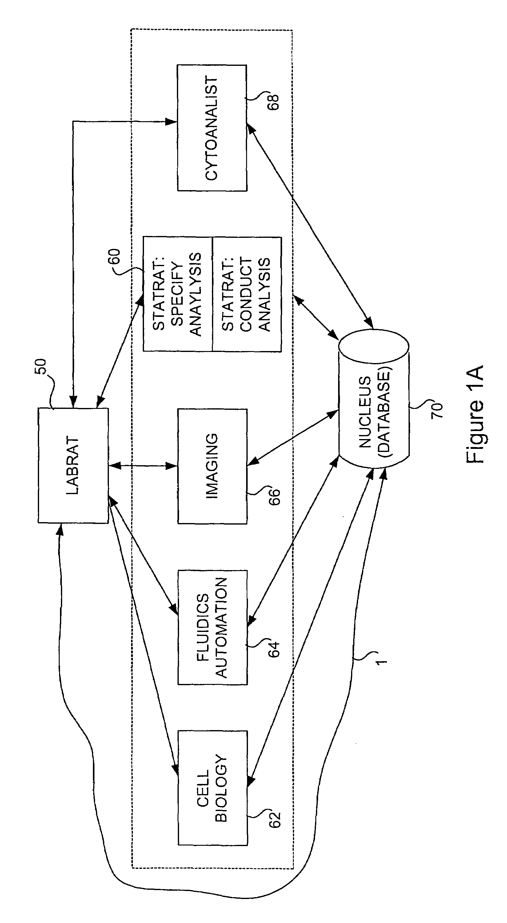 Method and apparatus for automated cellular bioinformatics