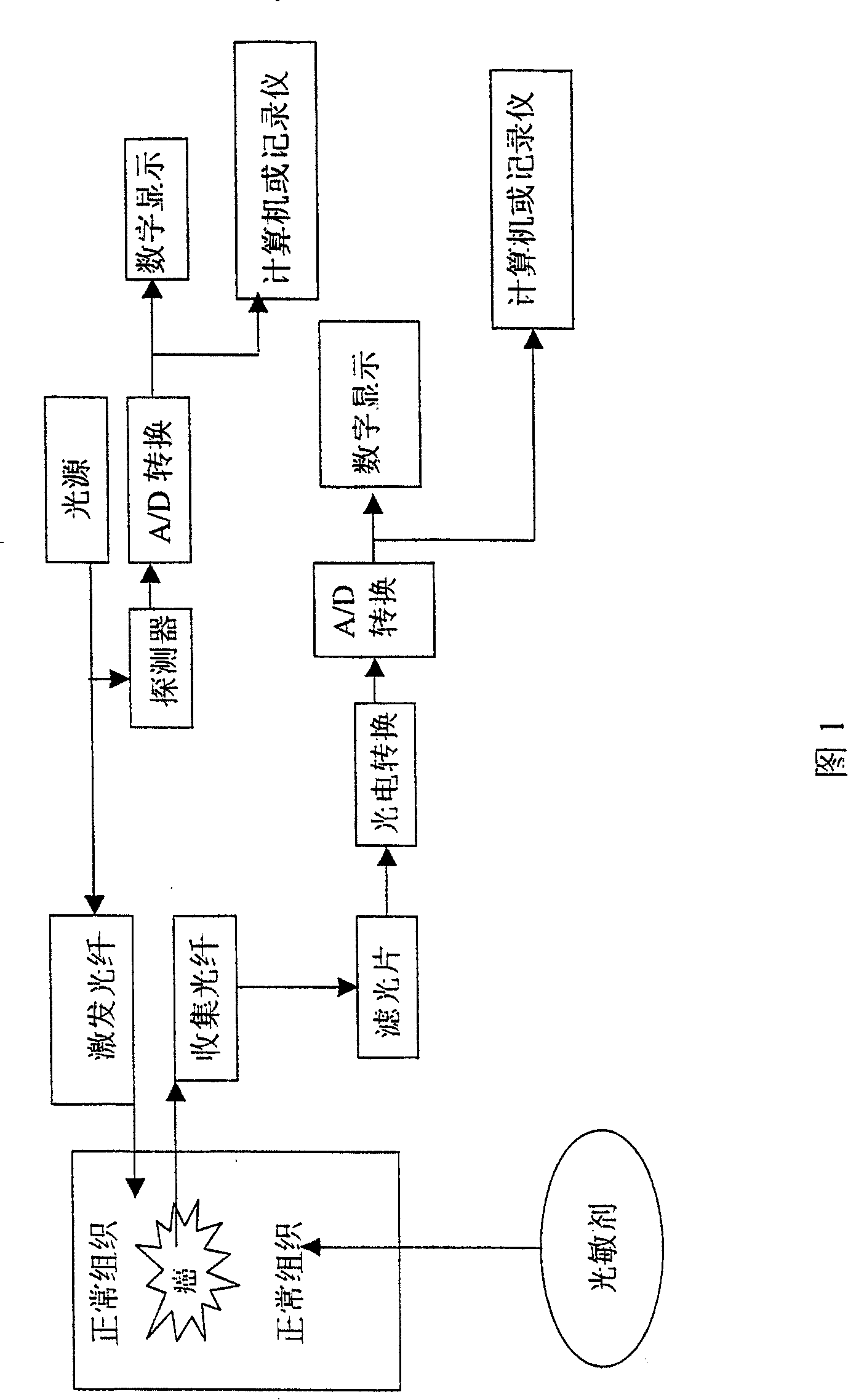 An extract of faeces bombycis