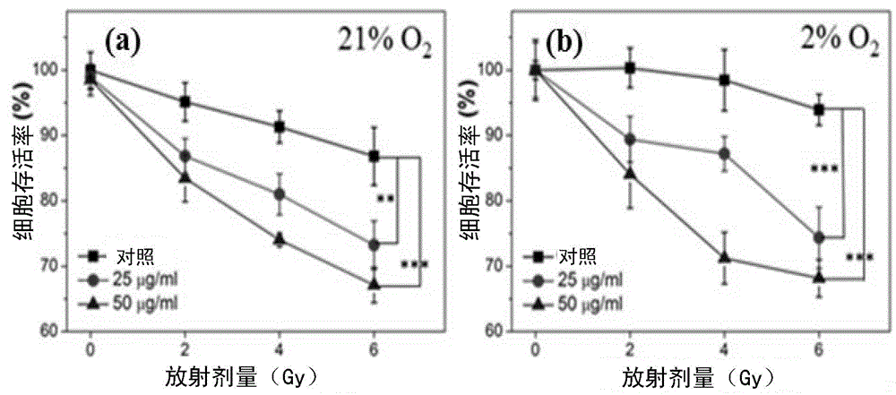 Low-oxygen dependent X-photodynamic nano photosensitizer as well as preparation method and application thereof