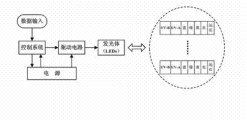 Adjustable full spectrum LED (light-emitting diode) light source device for plant growth