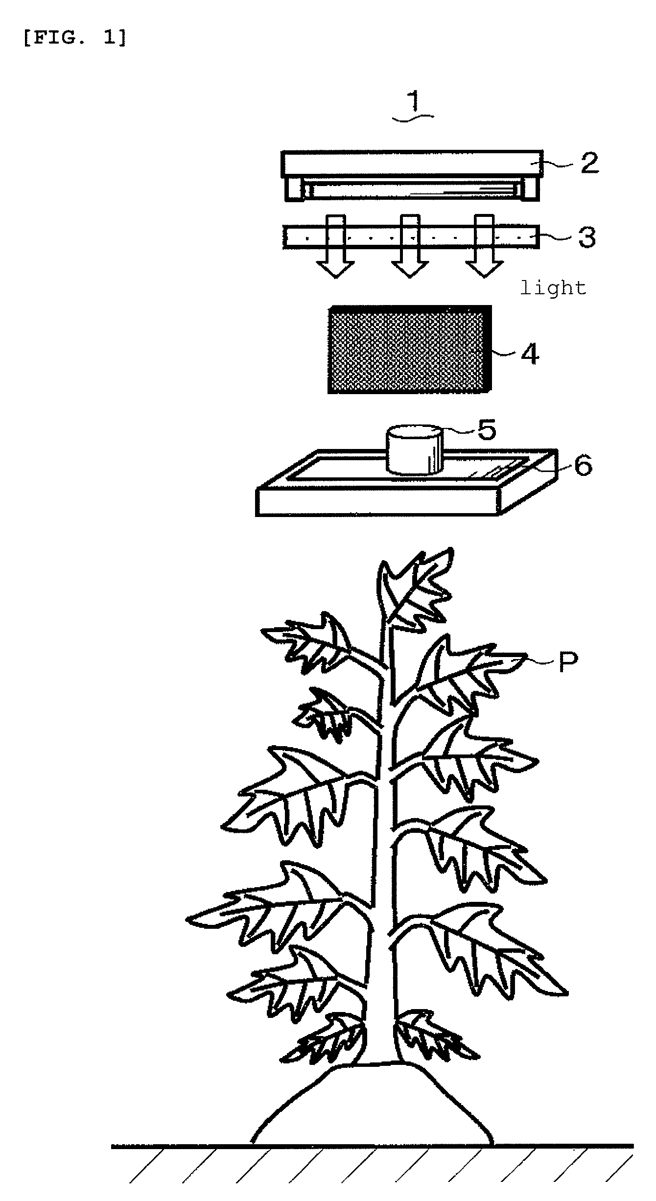 Insect pest-controlling apparatus