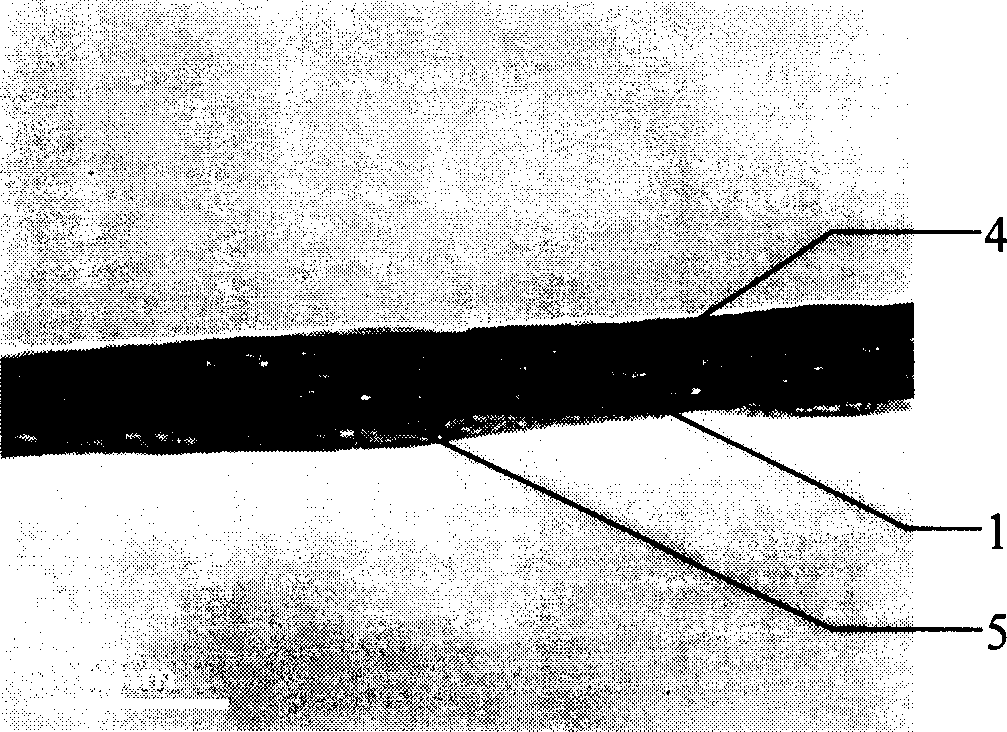 Titanium dioxide nanometer pipe composite separating membrane, its preparation and use thereof