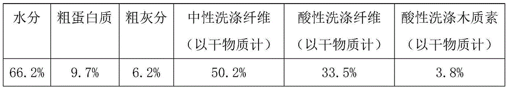 Preparation method of whole corn silage