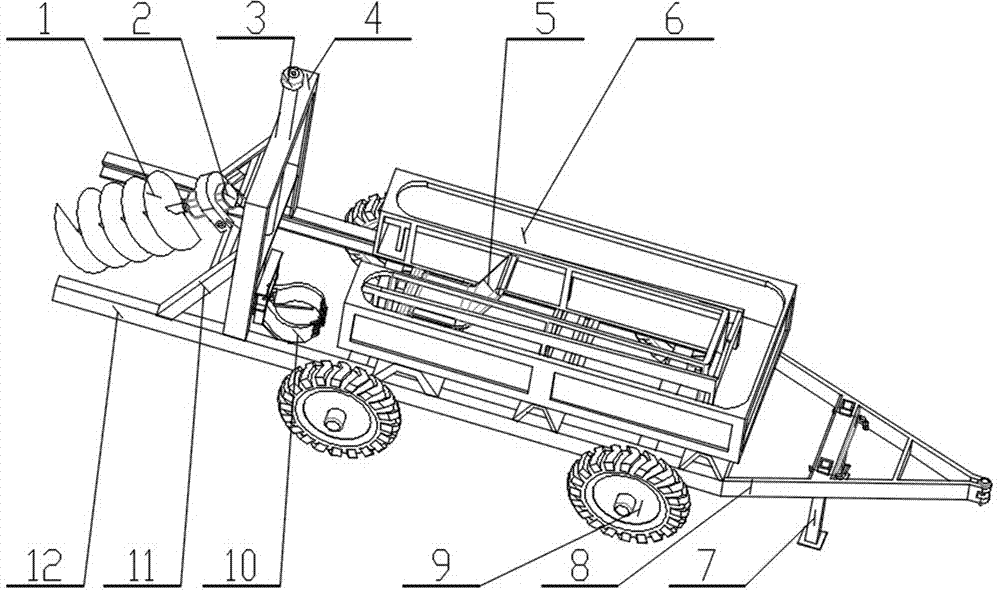 Automatic transplanter for haloxylon ammodendron