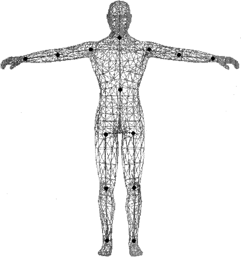 Three-dimensional human modeling method by using cartographical sketching