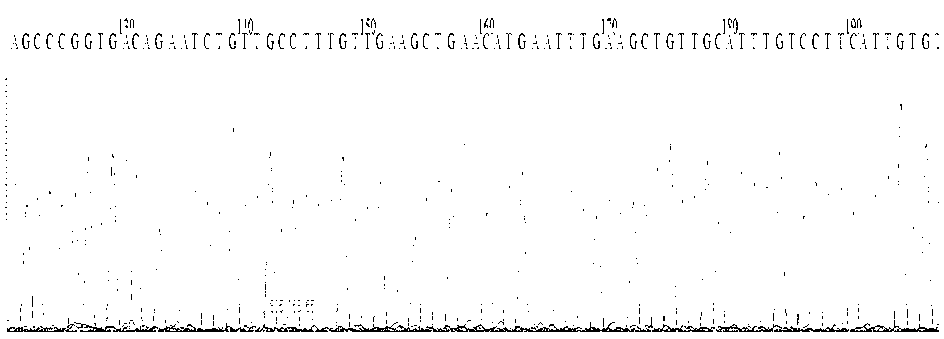 Method for improving egg laying amount of original strain of mulberry silkworm