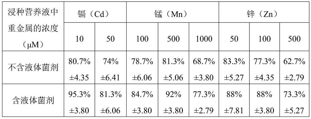 Heavy metal tolerant fusarium X-2-5 and application thereof