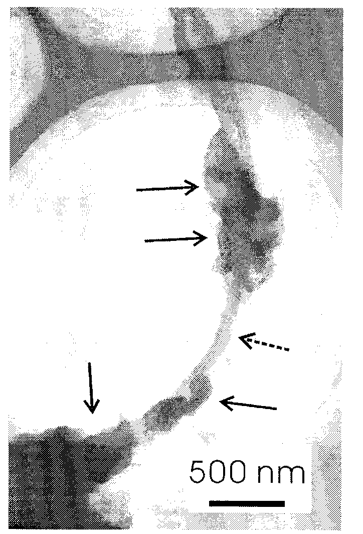 Method for preparing porous metal oxide-coated carbon nanotube composite material