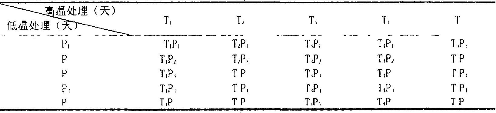 Acanthopanax seed propagation method