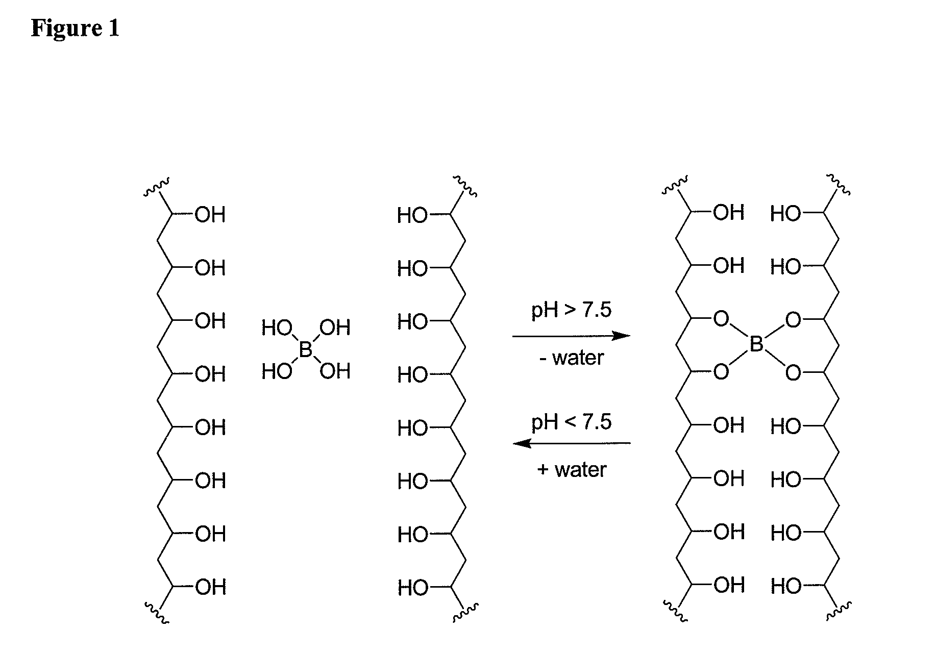 Polymer Systems for Lung Volume Reduction Therapy