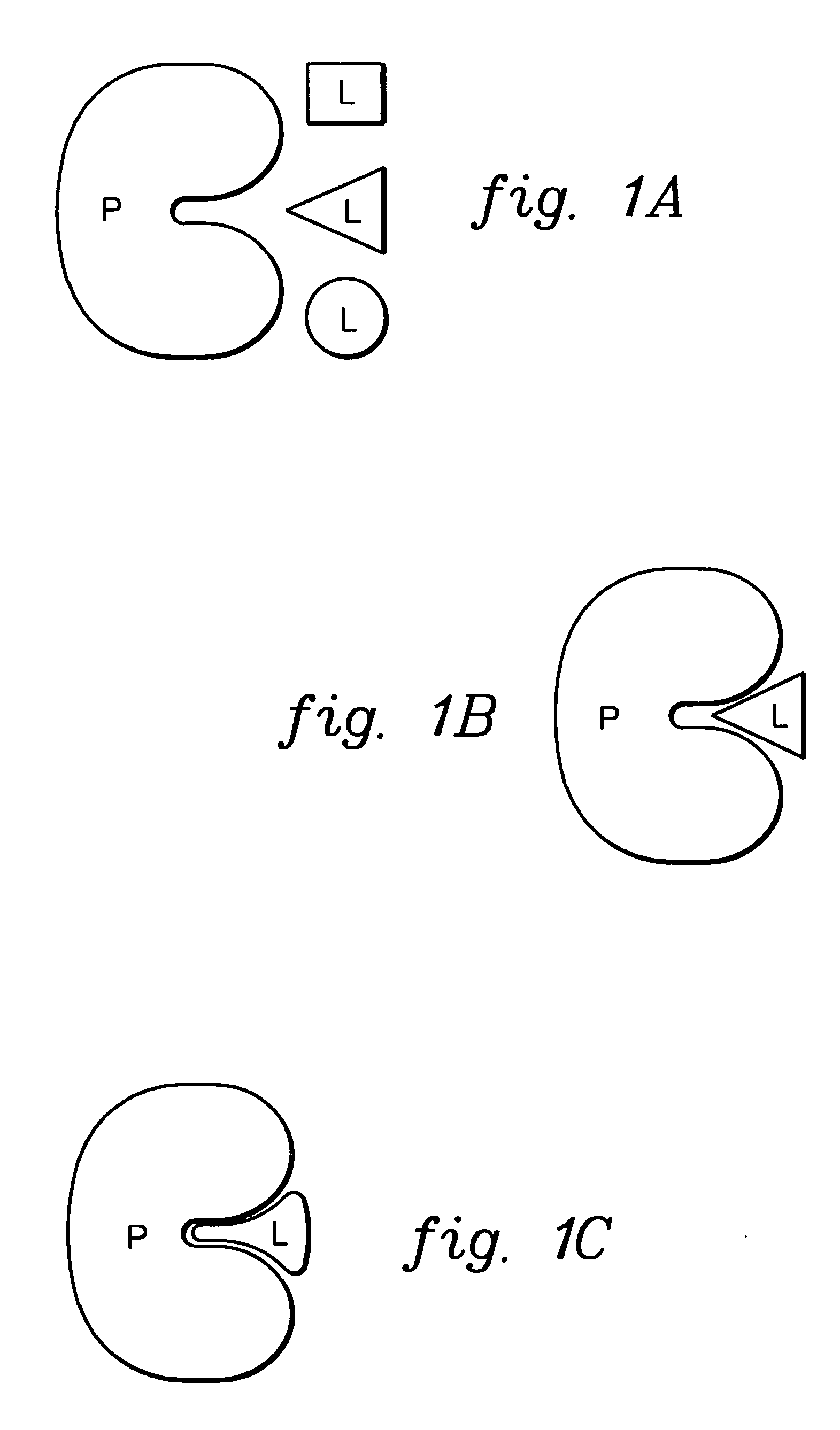 Molecular docking technique for screening of combinatorial libraries