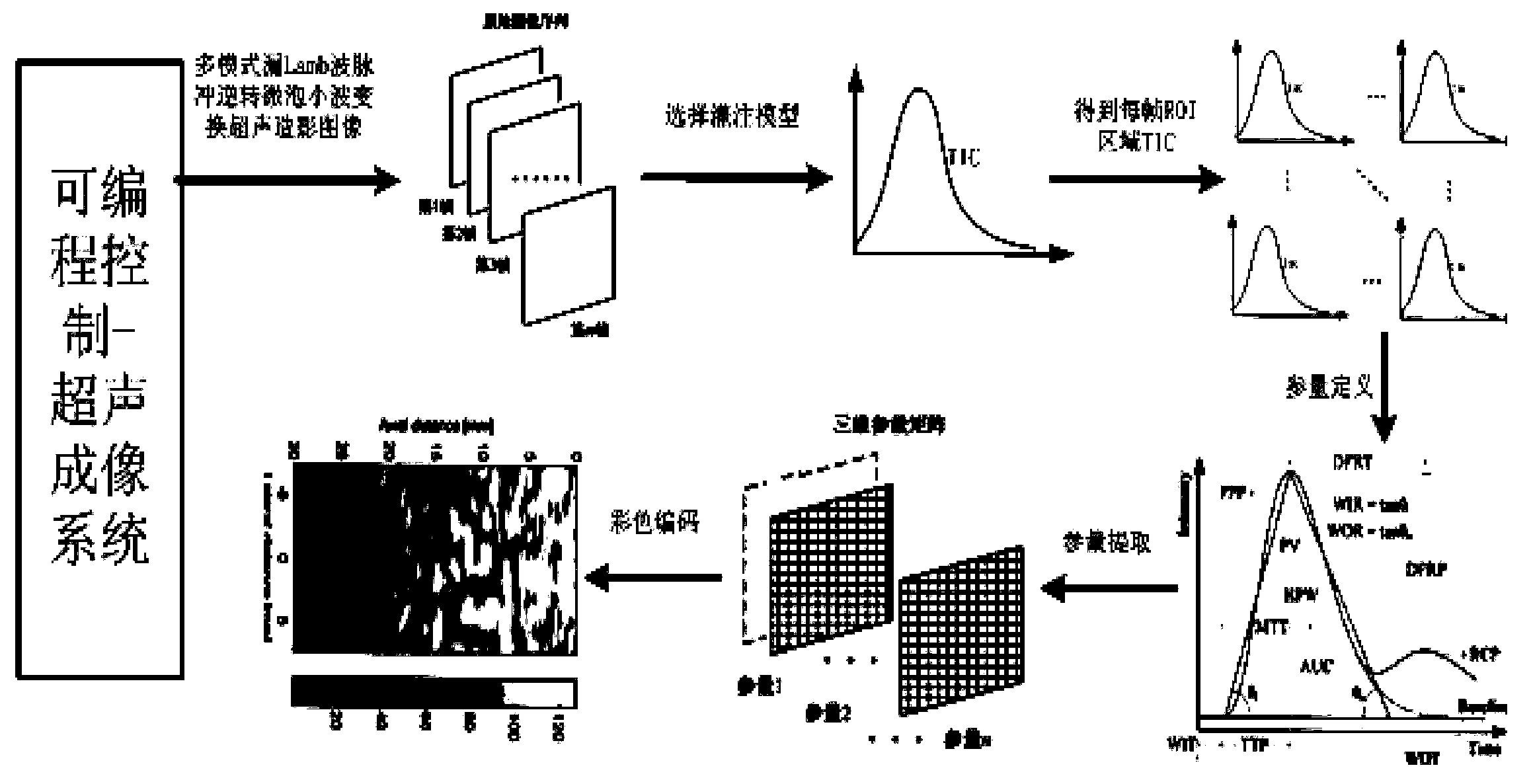 Blood perfusion separation detecting and imaging method for bone surface capillary