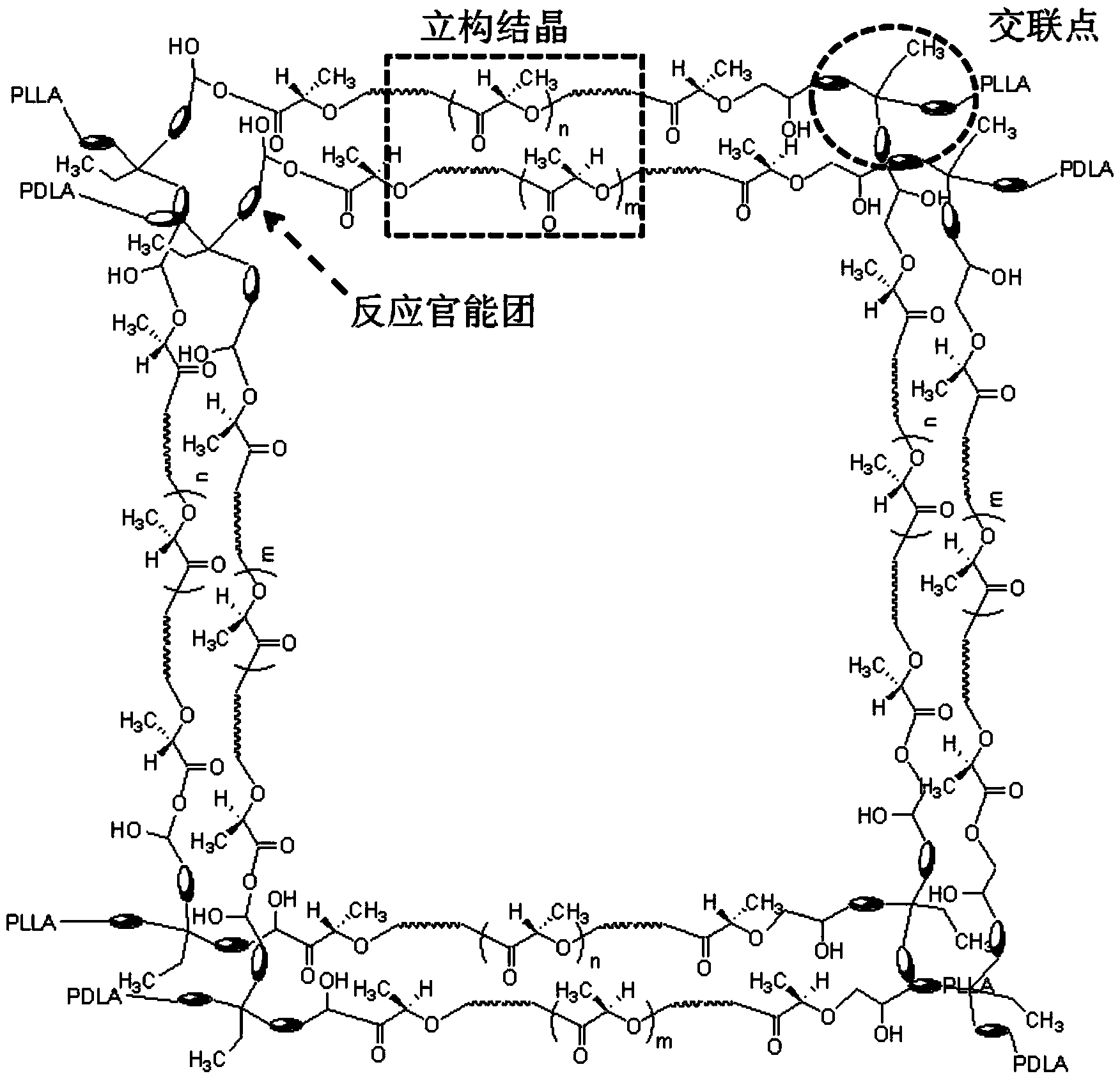 Poly lactic acid stereocomplex with interpenetrating network structure and preparation method thereof