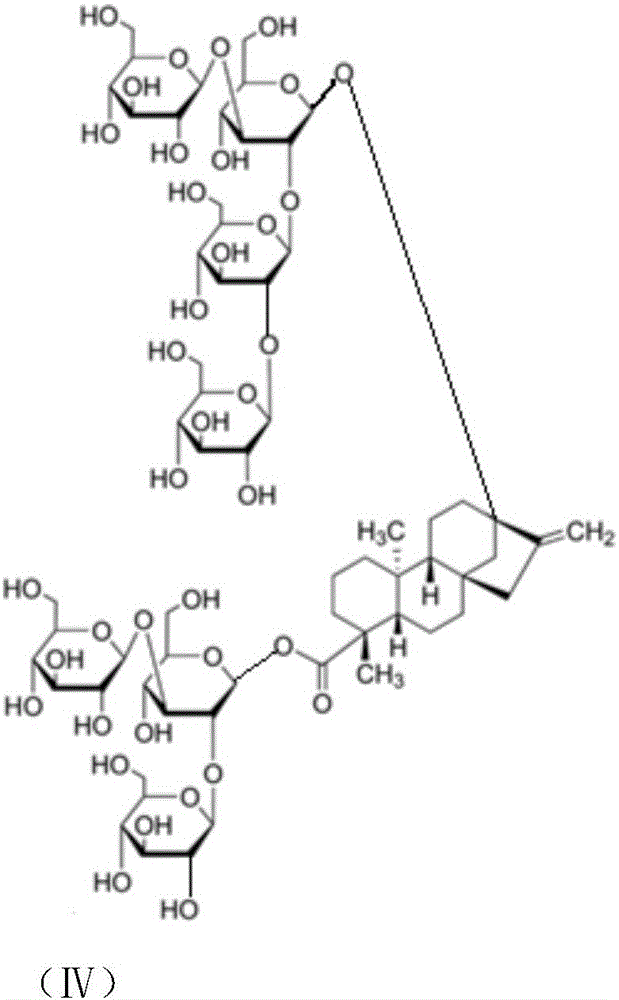 Stevioside derivative and application of stevioside derivative