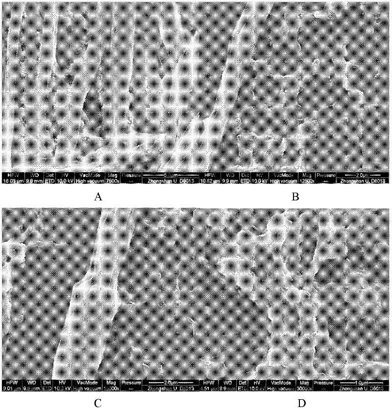 Hypocrea for producing mesophile ethanol-tolerant beta-glucosidase highly and application of hypocrea