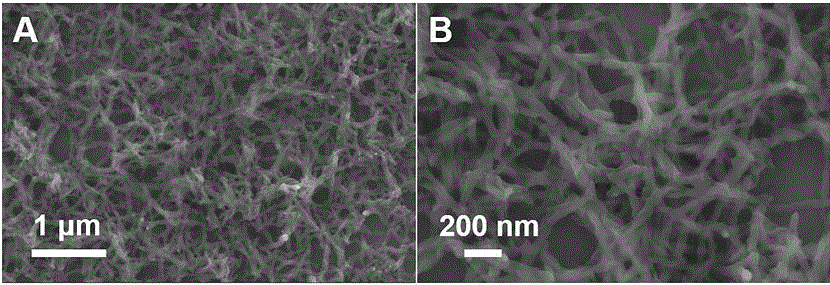 Molybdenum selenide/polyaniline nanofiber composite and preparation method thereof