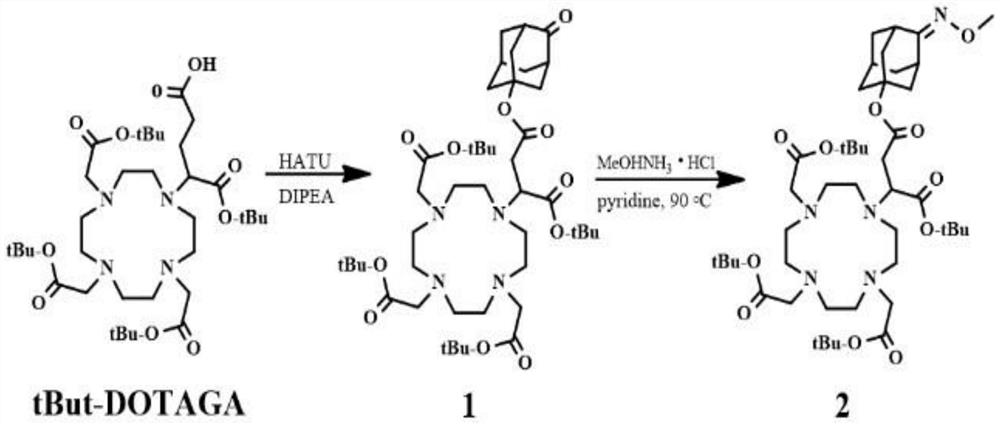 Synthesis method and application of Fe (II)-based specific MRI contrast agent