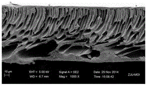 Amphiphilic fluorine-containing gradient copolymer, and preparation method and application thereof