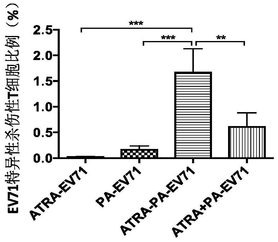 A kind of granular adjuvant and its preparation method and application