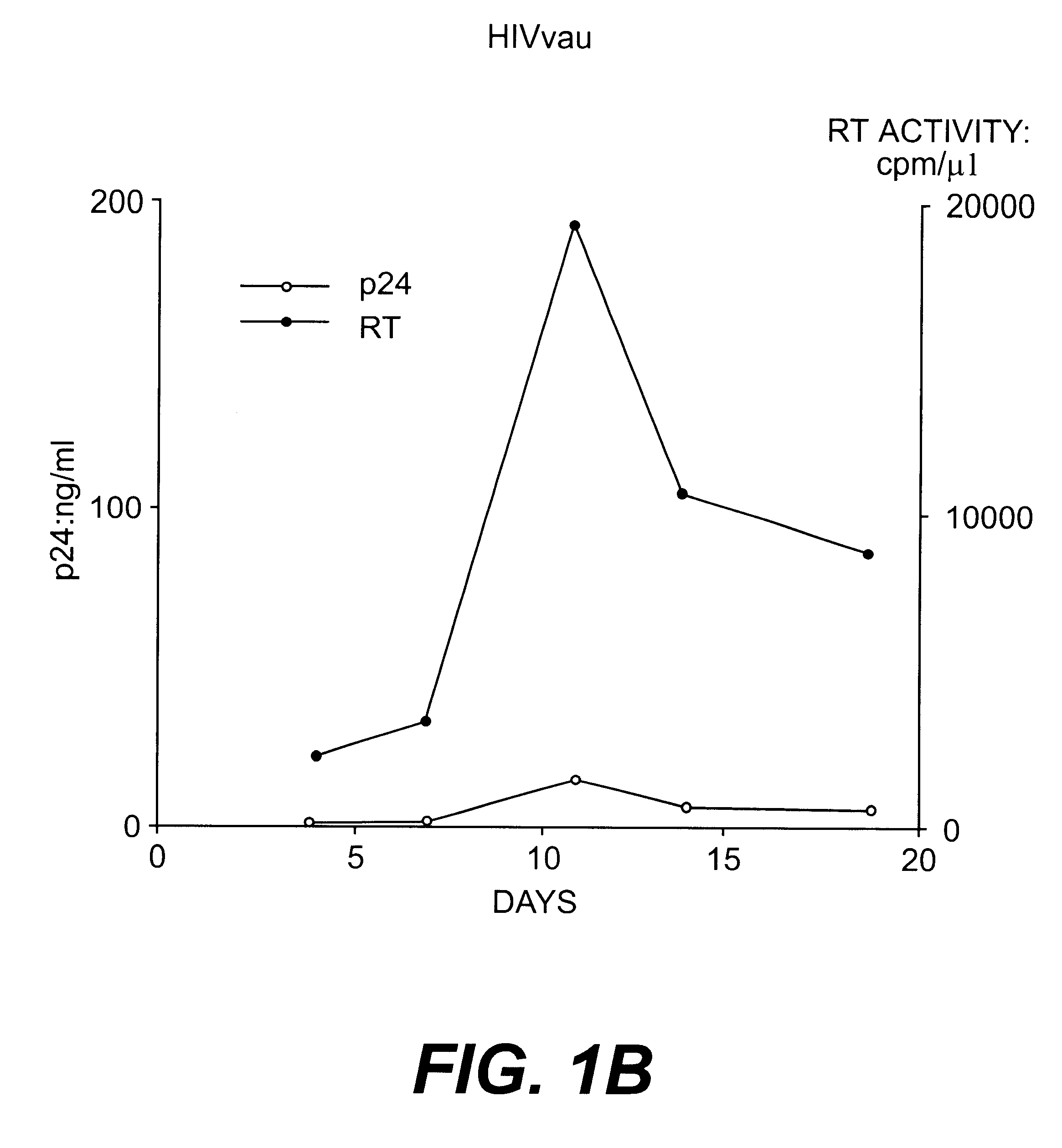 Nucleotide sequences of HIV-1 type (or subtype) O retrovirus antigens