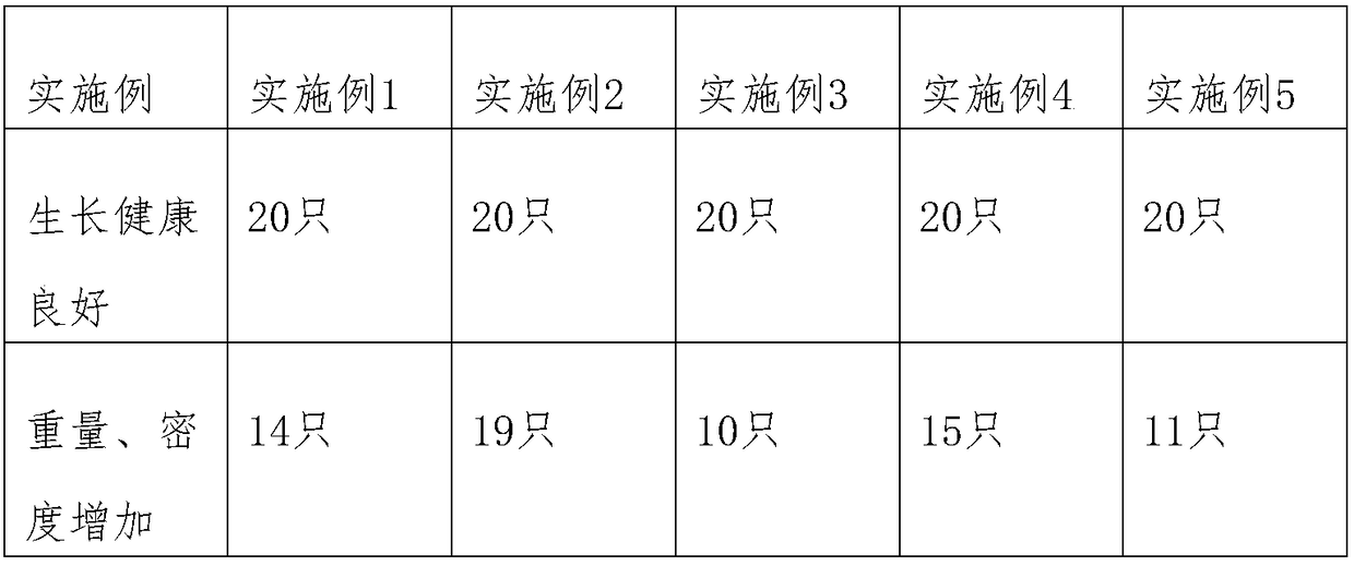 Preparation method of barley and black tea health-care product