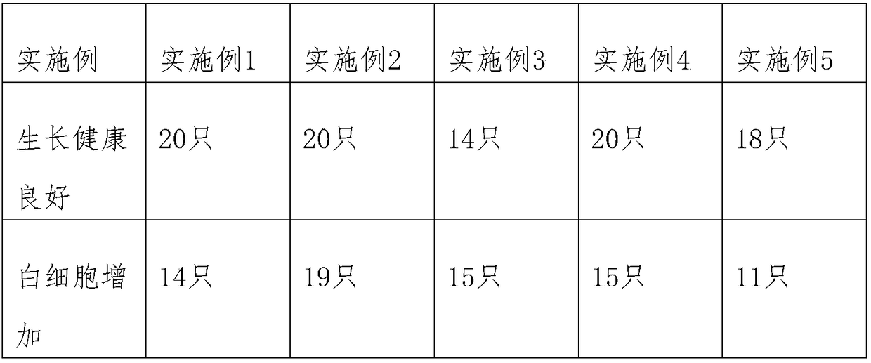 Preparation method of barley and black tea health-care product