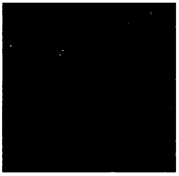 Scene classification method based on interferometric synthetic aperture radar images