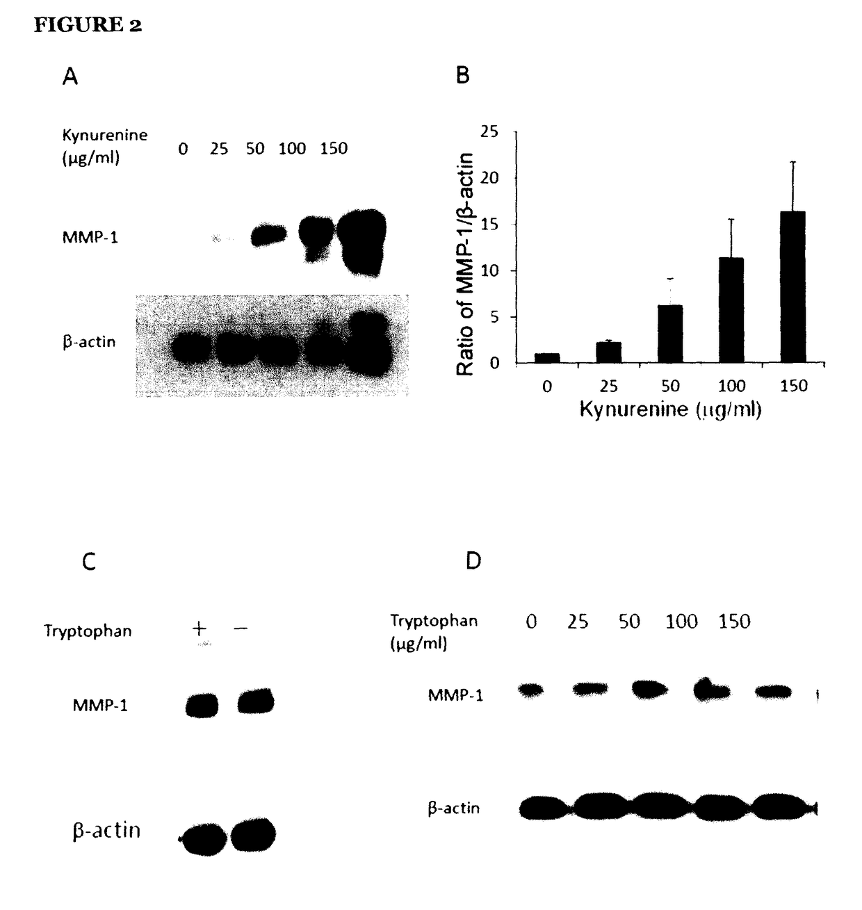 Anti-fibrogenic compounds, methods and uses thereof