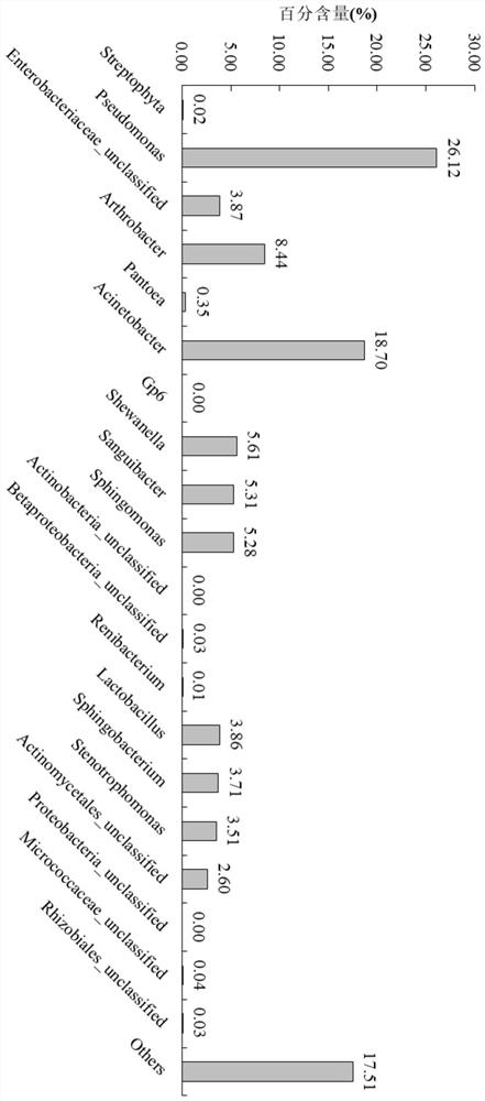 Sphingobacterium SC015 and application thereof in preparation of norovirus adsorbent