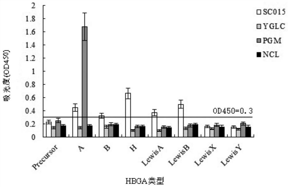 Sphingobacterium SC015 and application thereof in preparation of norovirus adsorbent