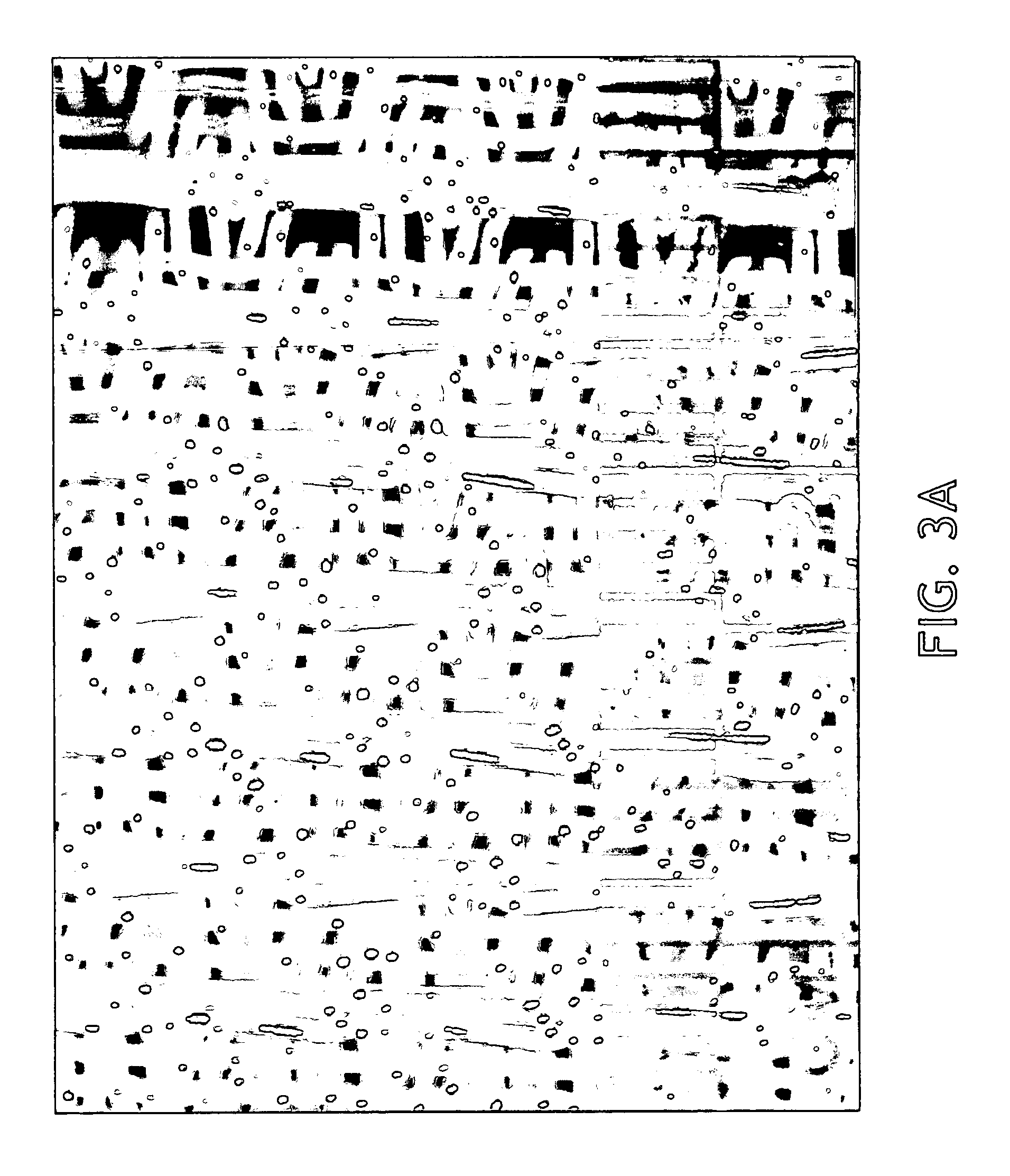 Wide wale tissue sheets and method of making same