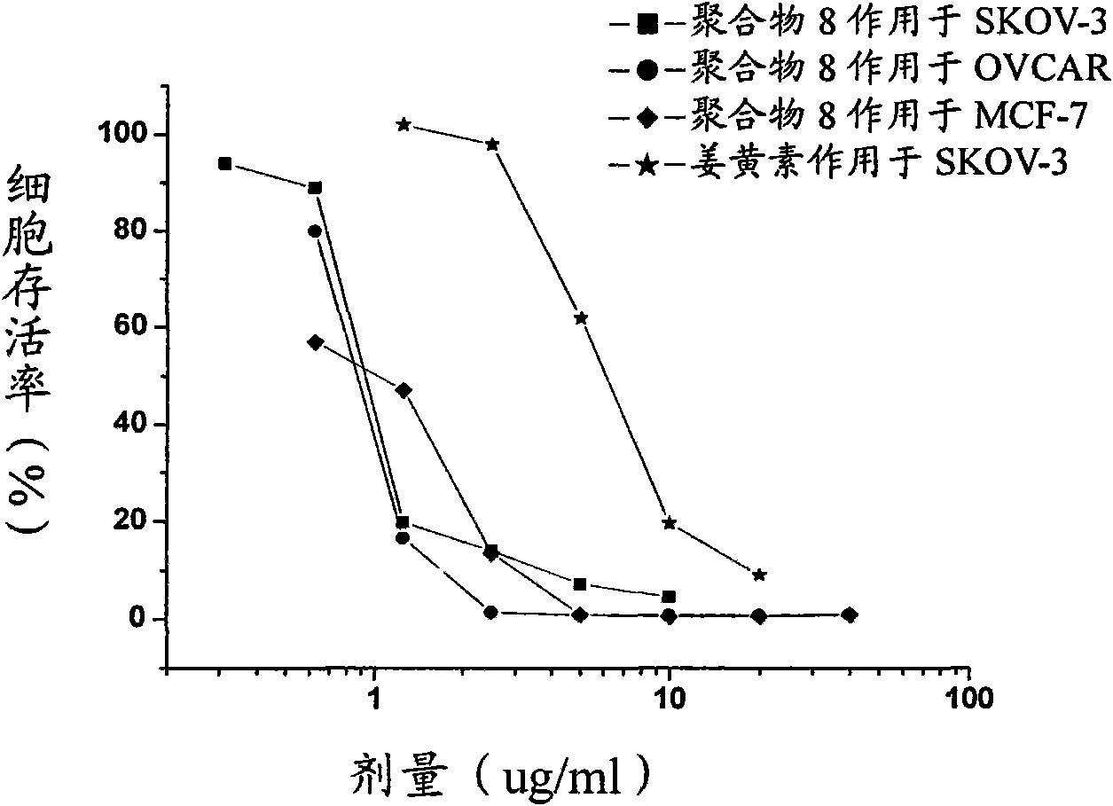 Method for preparing curcumin polymer