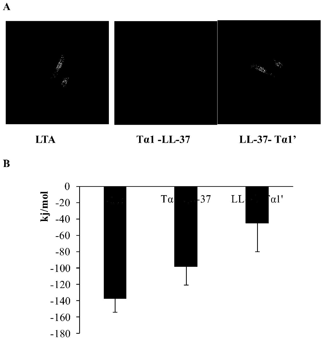 Hybrid peptide with functions of regulating immunity, neutralizing and digesting endotoxin and resisting inflammation, and preparation method and application thereof