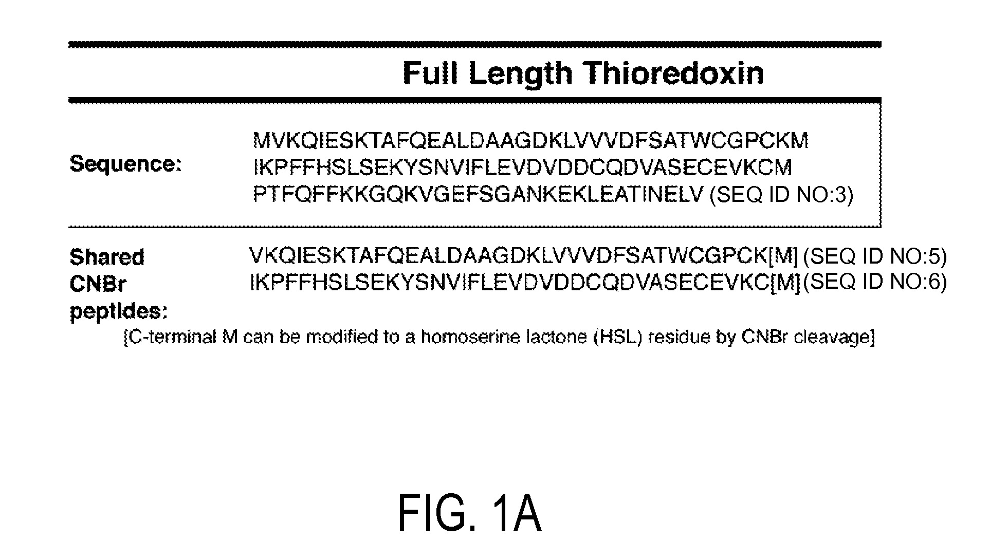 Detection and quantitation of full-length thioredoxin (TRX) and truncated thioredoxin (TRX 80) in complex samples