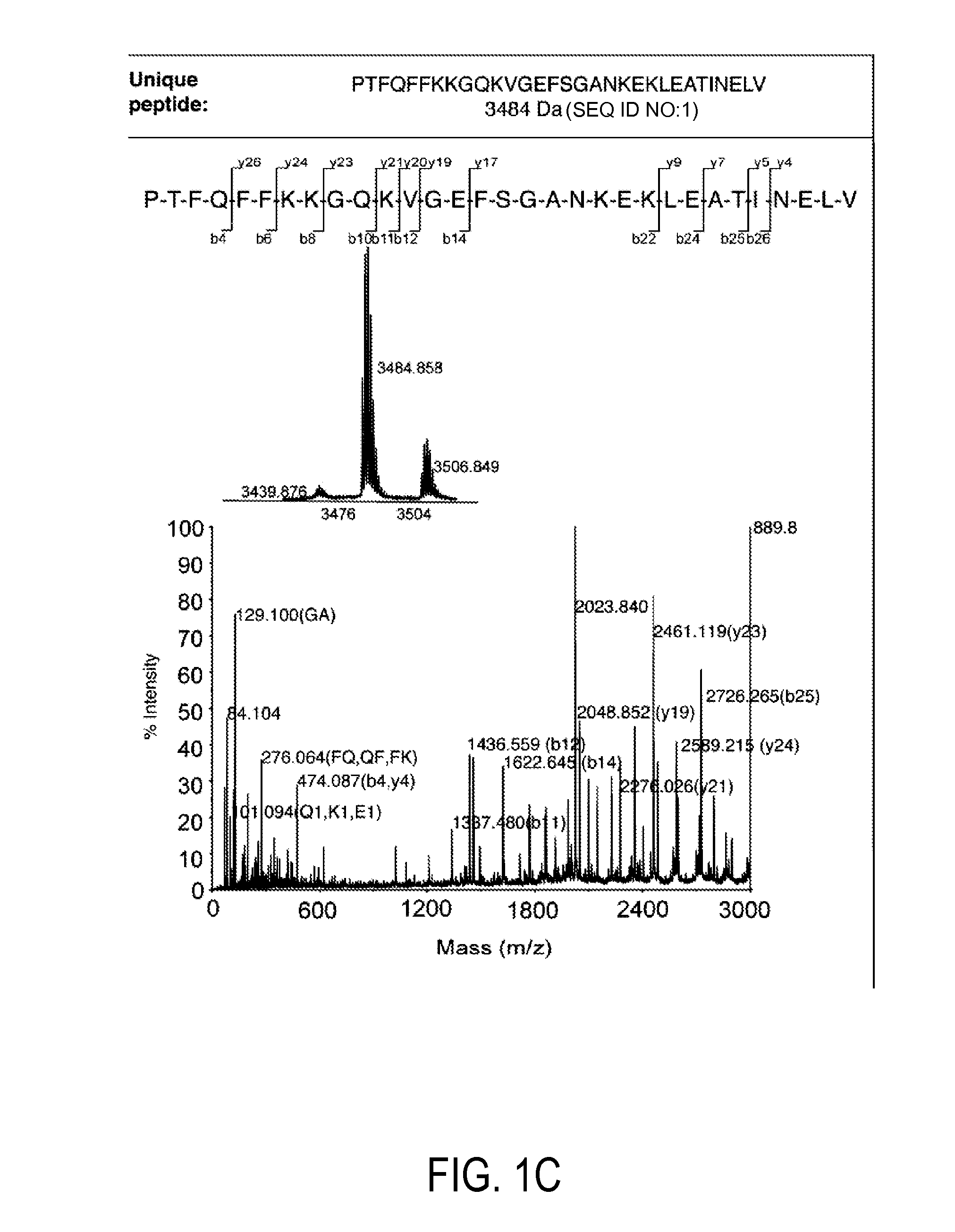 Detection and quantitation of full-length thioredoxin (TRX) and truncated thioredoxin (TRX 80) in complex samples