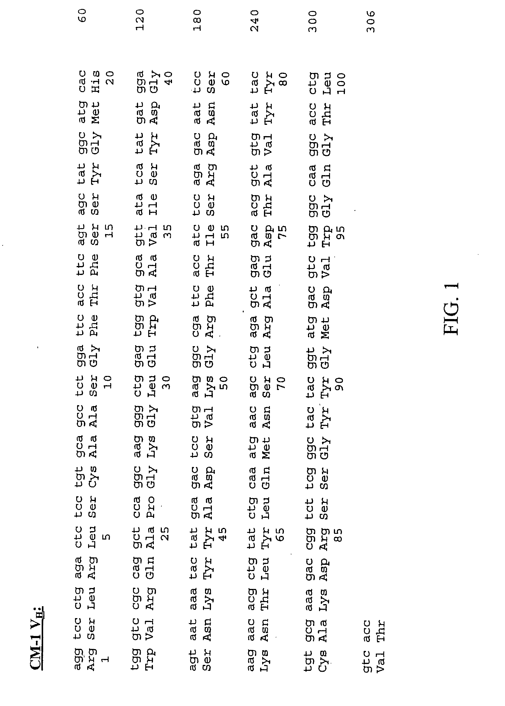 Neoplasm specific antibodies and uses thereof