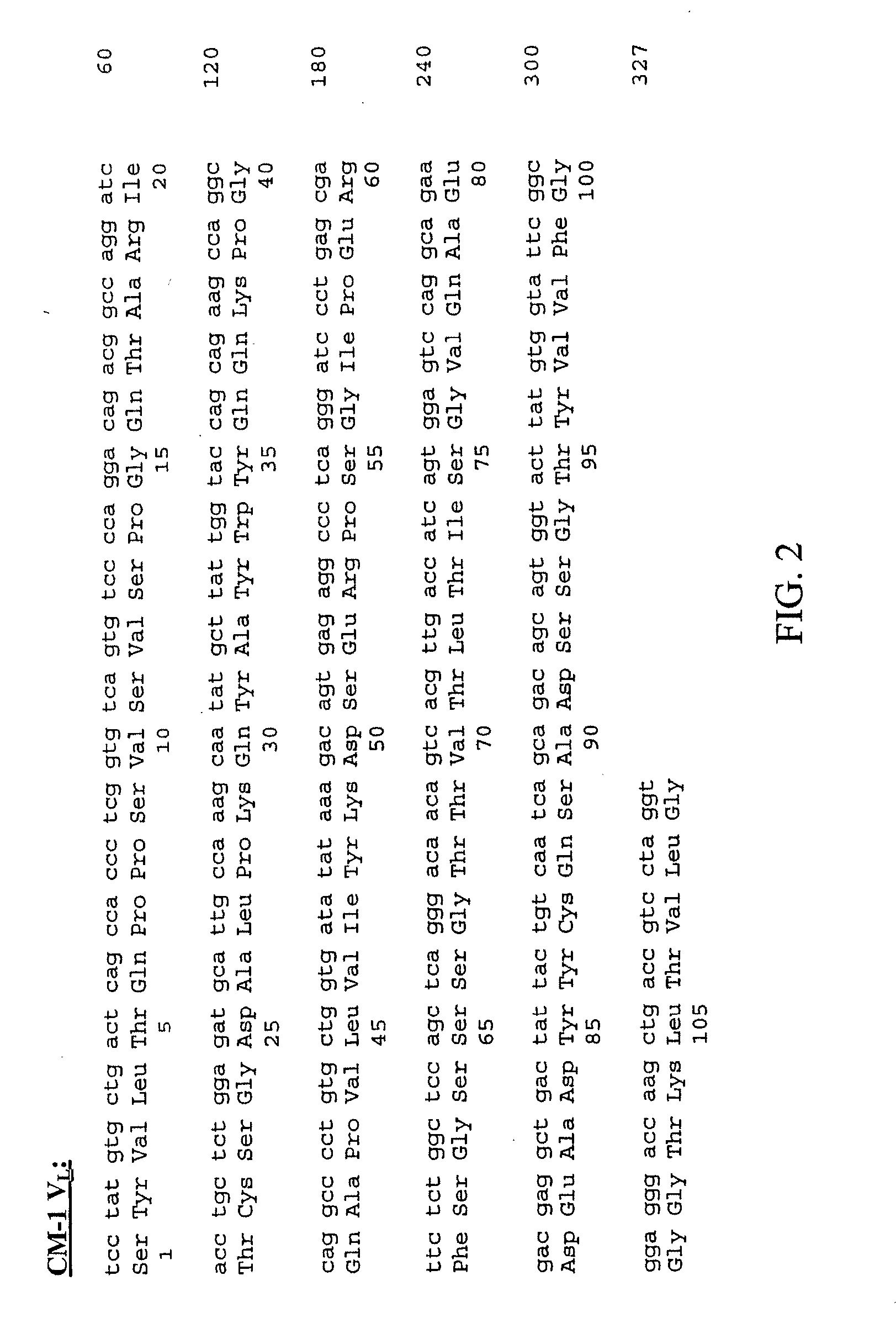 Neoplasm specific antibodies and uses thereof