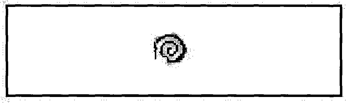 Capsule staining of bacteria