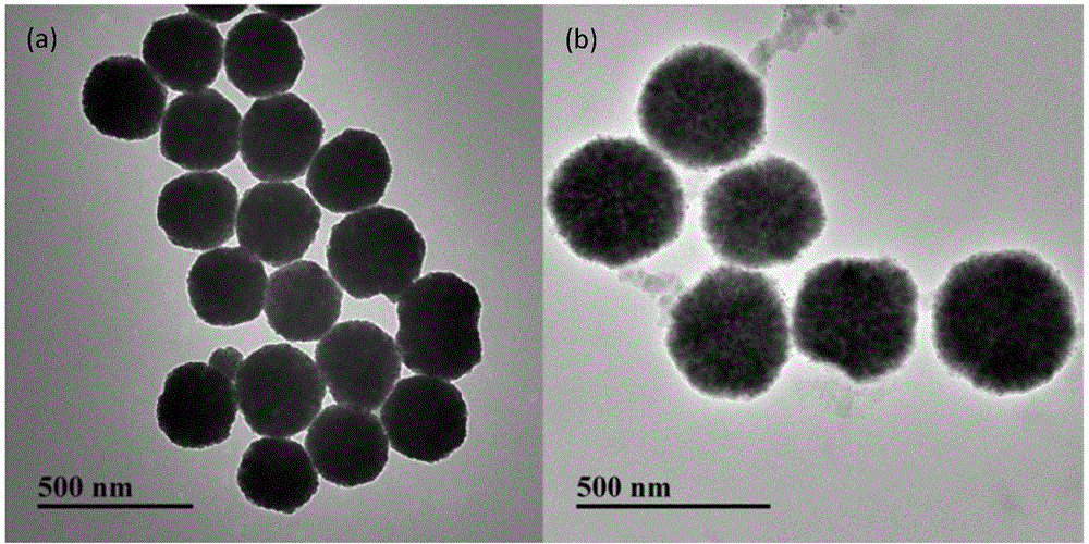 Method for specific detection of staphylococcus aureus