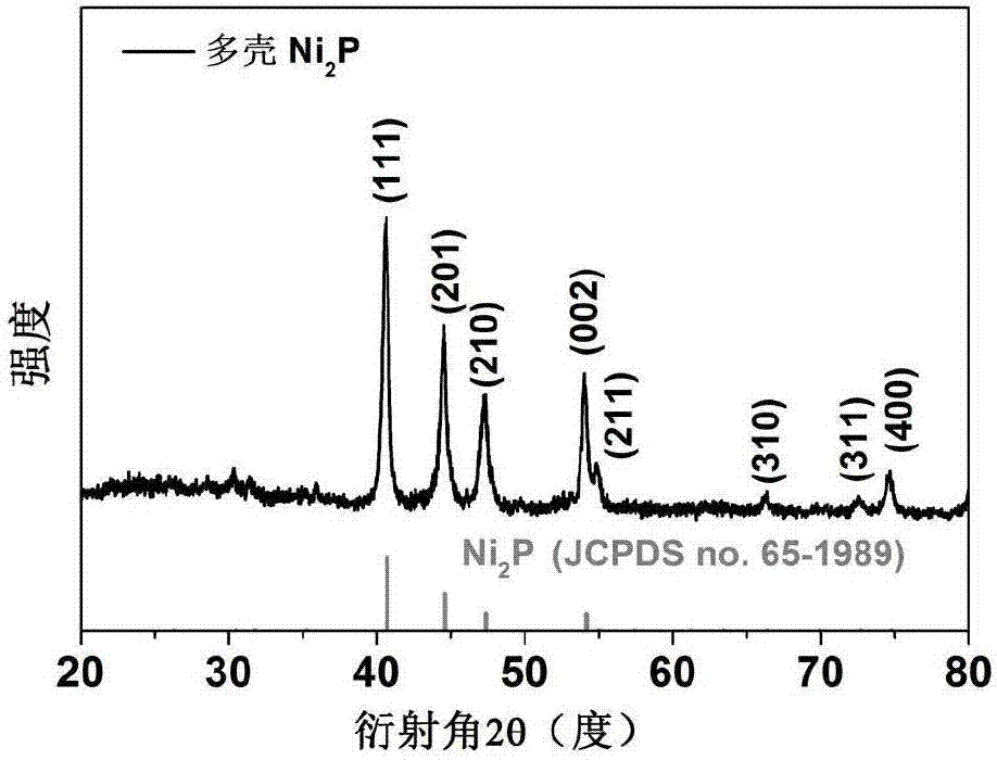 Multi-hole-and-shell nickel phosphide hollow microsphere and preparation method and application thereof