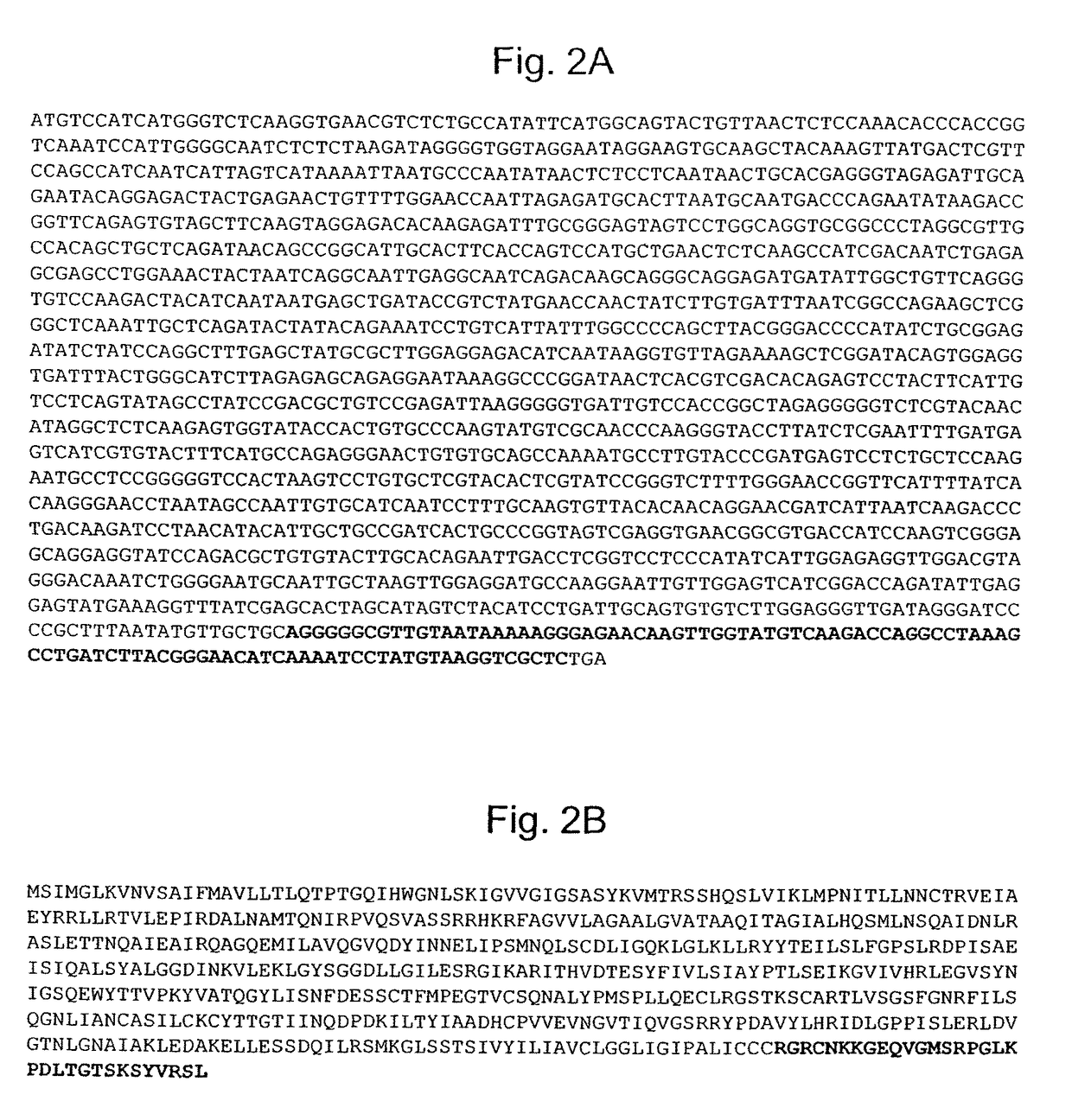 Pseudotyping of retroviral vectors, methods for production and use thereof for targeted gene transfer and high throughput screening