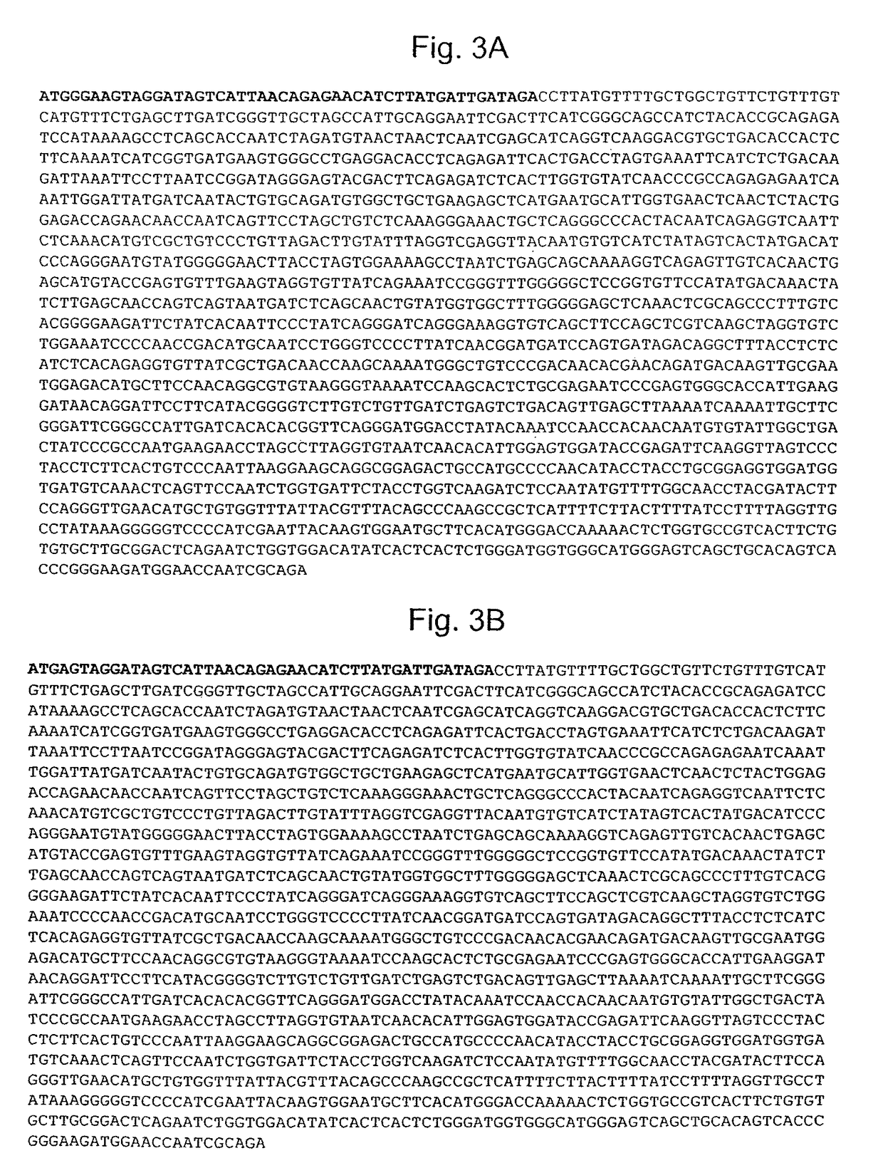 Pseudotyping of retroviral vectors, methods for production and use thereof for targeted gene transfer and high throughput screening