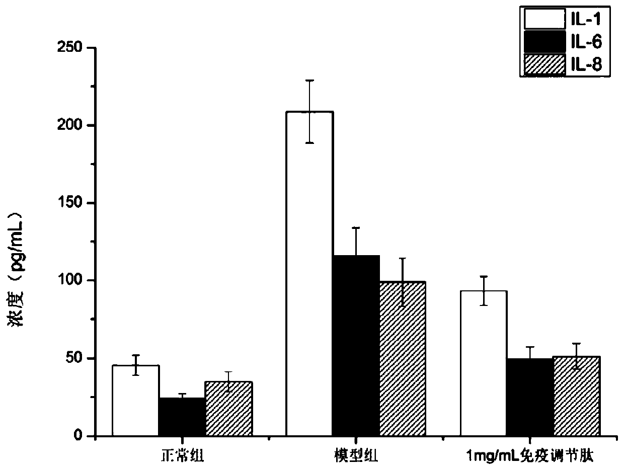 Efficient preparation method of low-value fish immunomdodulating peptides