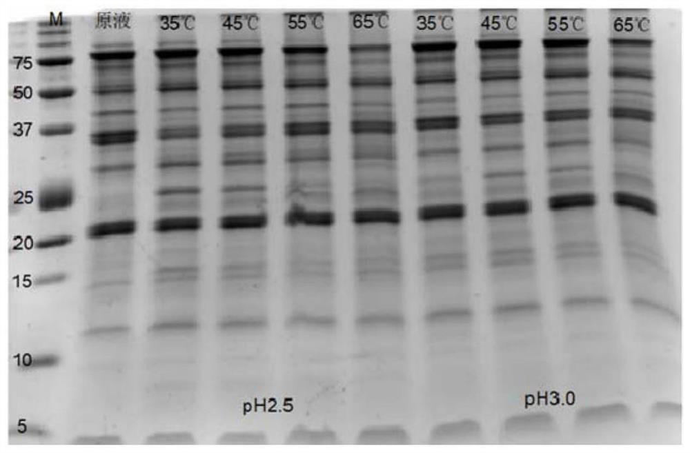 Method for preparing fiberized soybean protein gel under acidic condition