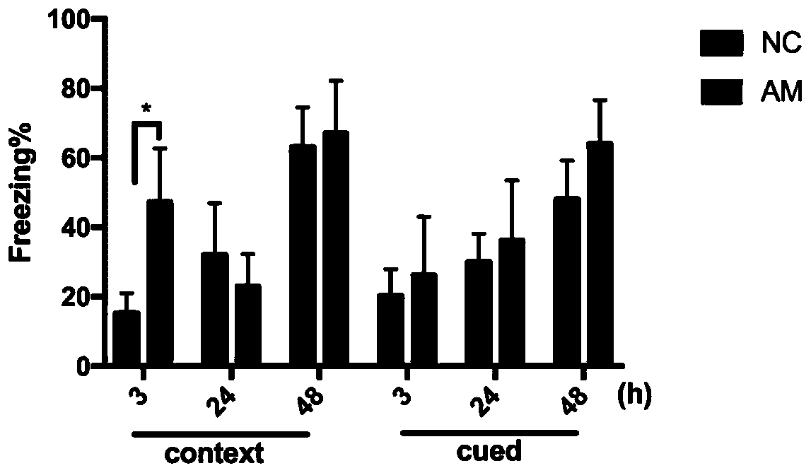 Application of inhibitors of miRNA-182, miRNA-188 and miRNA-199a