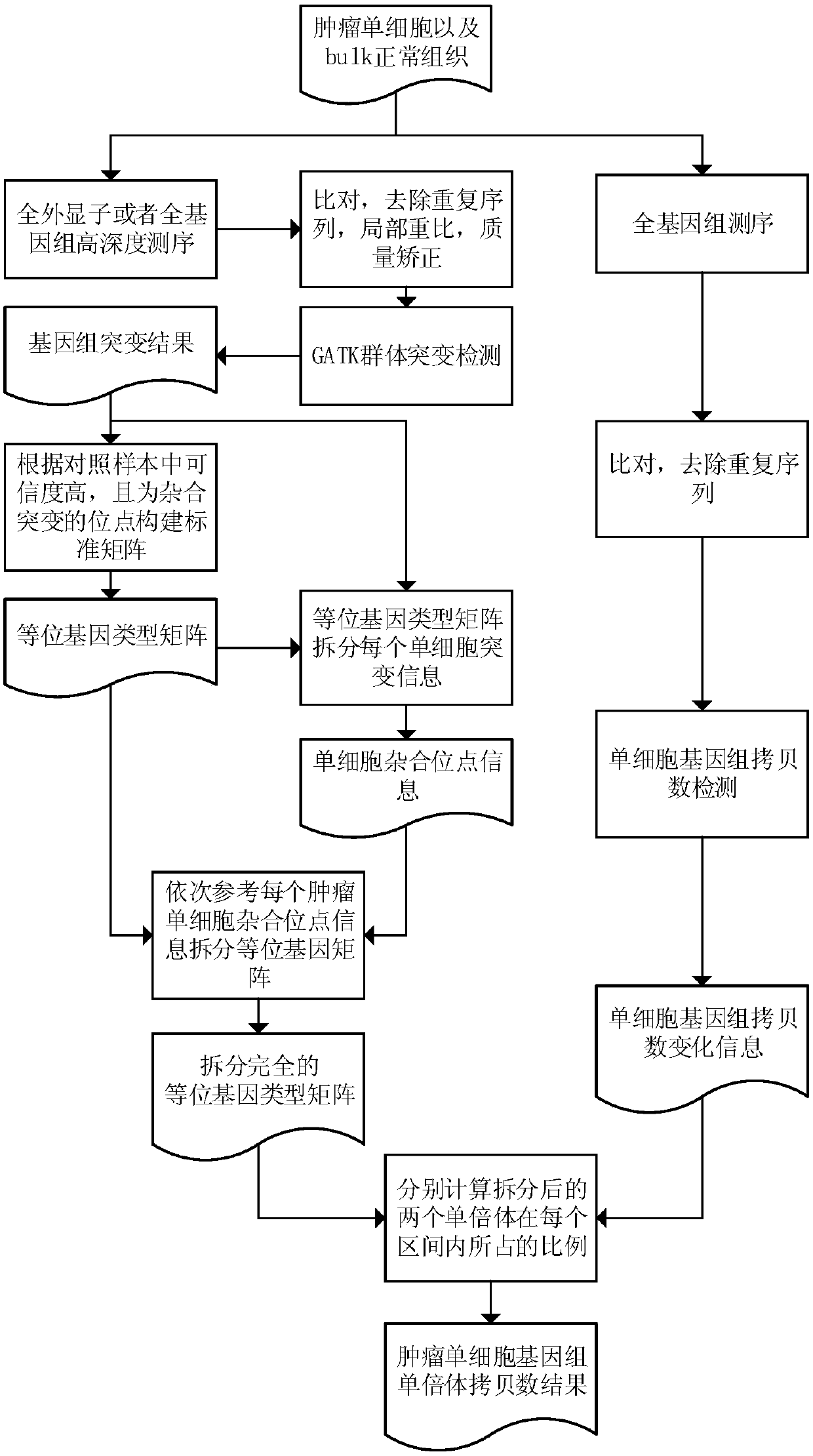 Method for detecting haploid copy number variation of tumor unicell genome