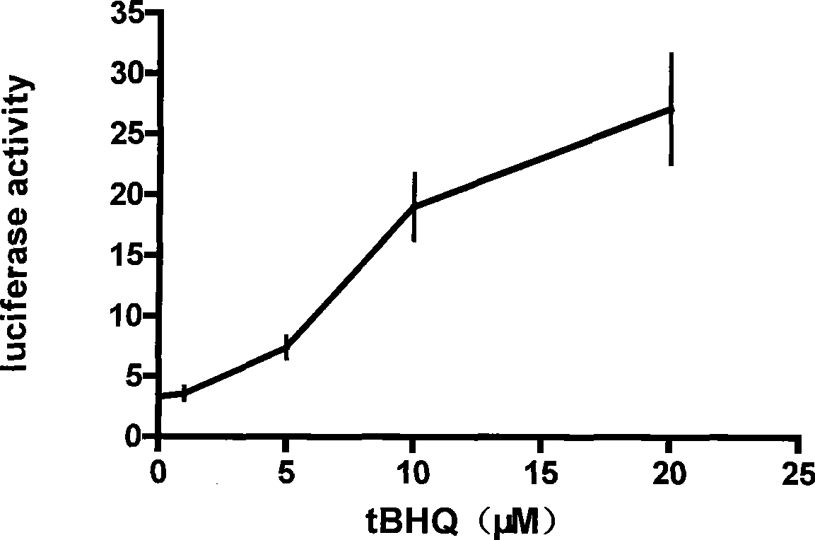 Screen method of sensitization tumour cell pharmaceutical product and use thereof