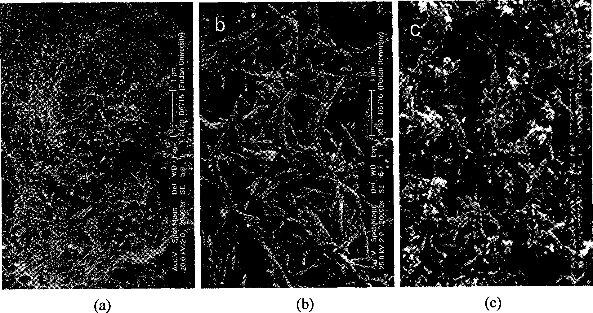 Method of greenly preparing rare-earth potassium orthophosphate nano/micro crystal