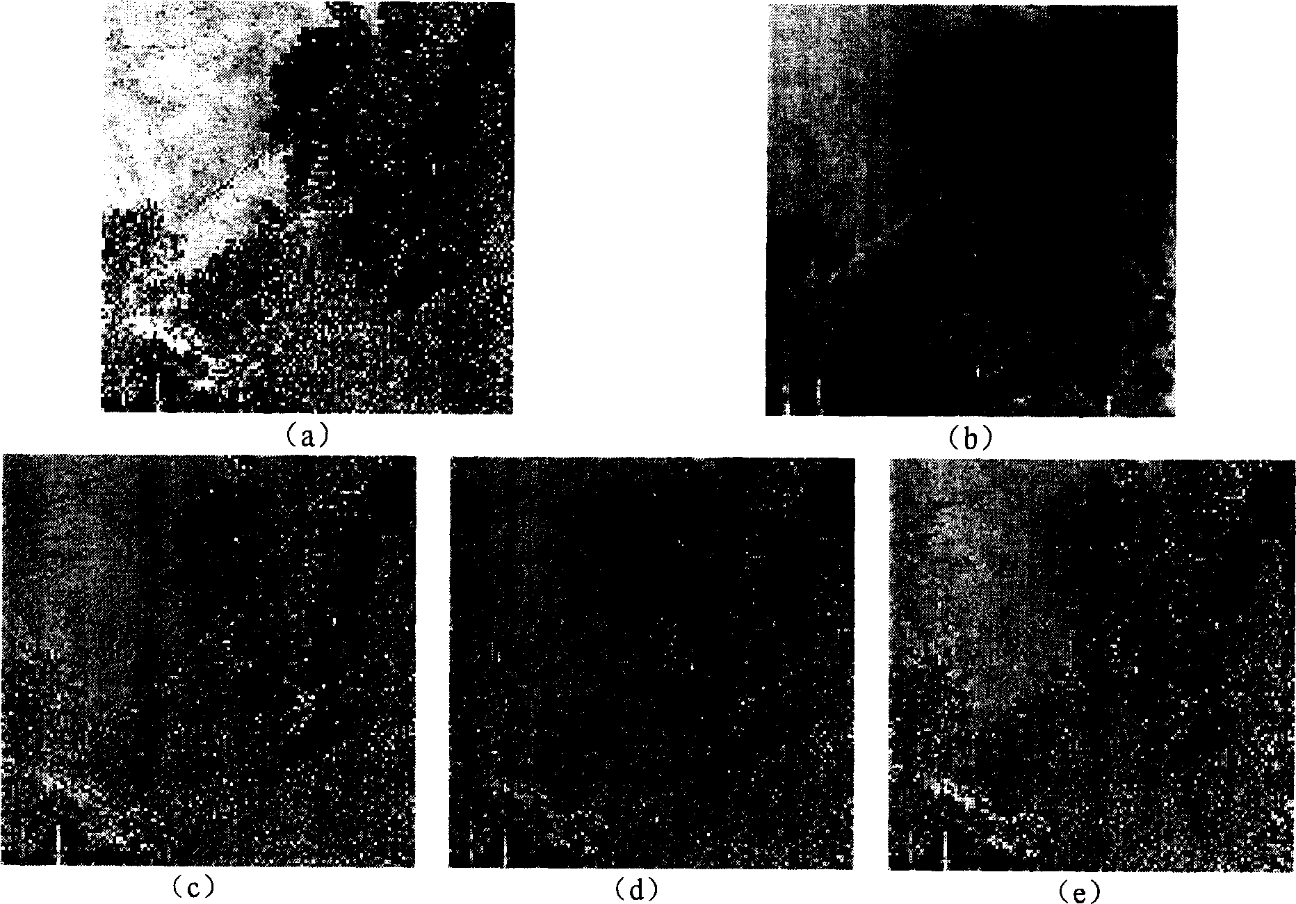 Method based on Contourlet transformation, modified type pulse coupling neural network, and mage amalgamation